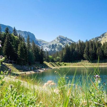 Charmant Appartement Fonctionnel Pres Du Centre Bourg, Balcon Et Parking Gratuit - Fr-1-548-2 فيلارد دي لانس المظهر الخارجي الصورة